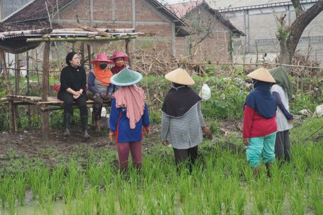 podiumnews.com-Puan Minta Pemerintah Kendalikan Harga Bahan Pokok